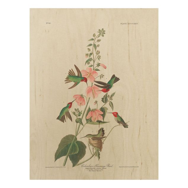 Holzbilder Blumen Vintage Lehrtafel Kolumbianische Kolibris