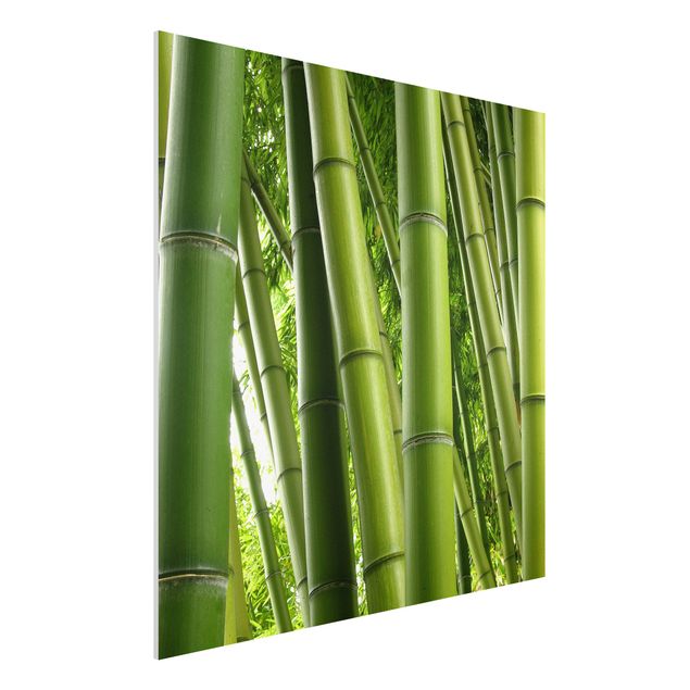 Küchen Deko Bamboo Trees No.1