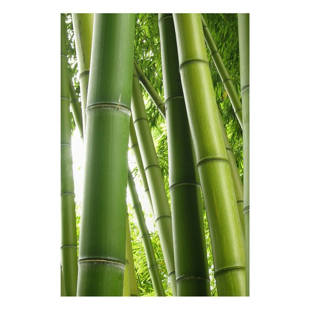 Wandbilder Bäume Bamboo Trees No.1