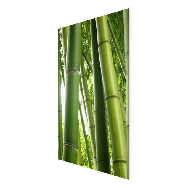 Wandbilder Bambus Bamboo Trees No.1