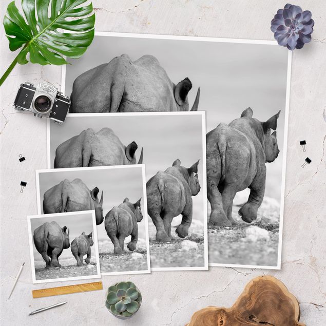 Poster bestellen Wandering Rhinos II