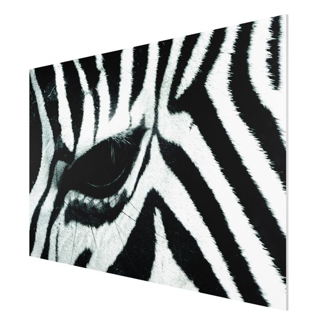 Wandbilder Afrika Zebra Crossing No.4