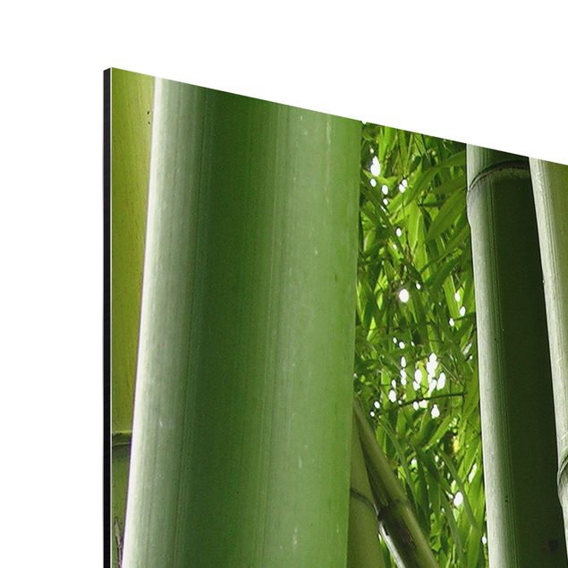 Wandbilder Natur Bamboo Trees No.1