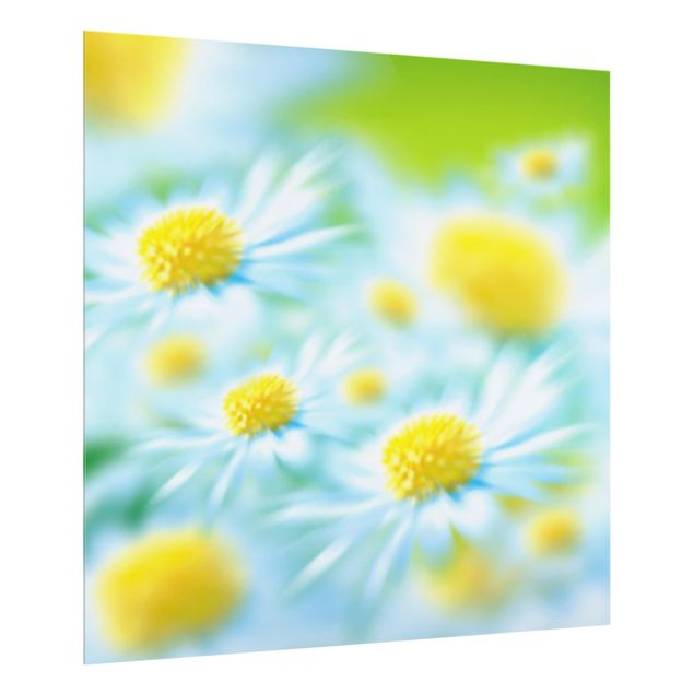 Spritzschutz Muster Dahlien Blumenmeer weiß