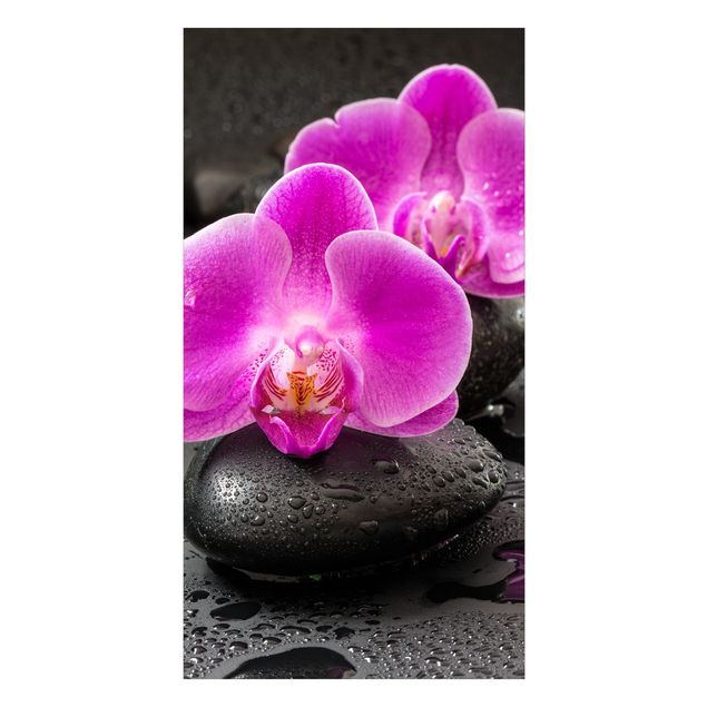 Duschrückwand - Pinke Orchideenblüten auf Steinen mit Tropfen