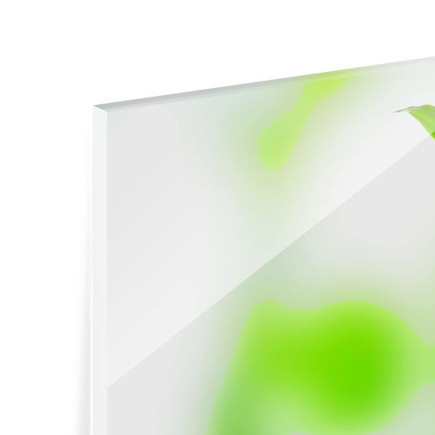 Spritzschutz Glas - Grüner Bambus - Querformat - 3:2