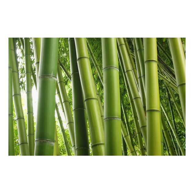 Wandbilder Bäume Bamboo Trees No.1