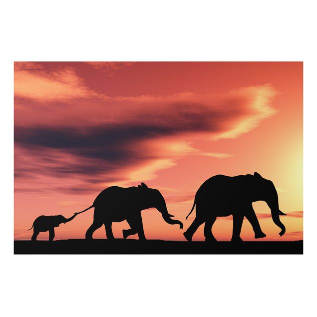 Wandbilder Elefanten Savannah Elefant Family