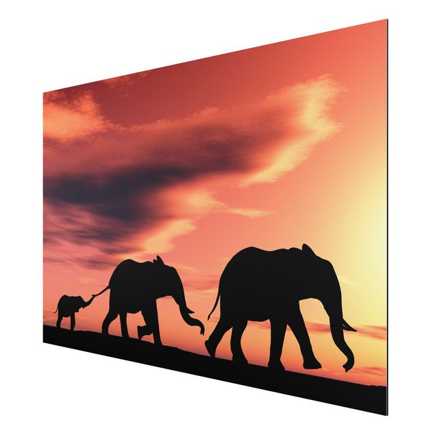 Wandbilder Landschaften Savannah Elefant Family