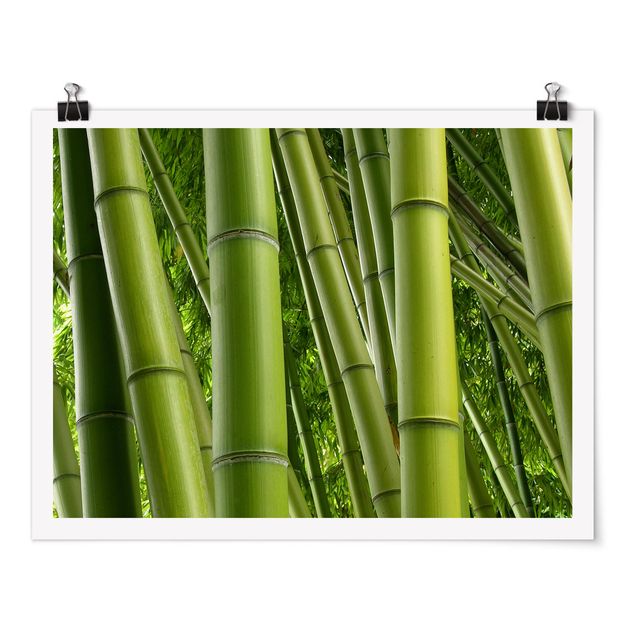 Poster mit Blumen Bamboo Trees No.2