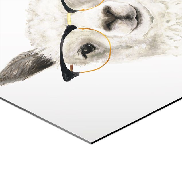 Hexagon Bilder Hippe Lamas mit Brille Set I