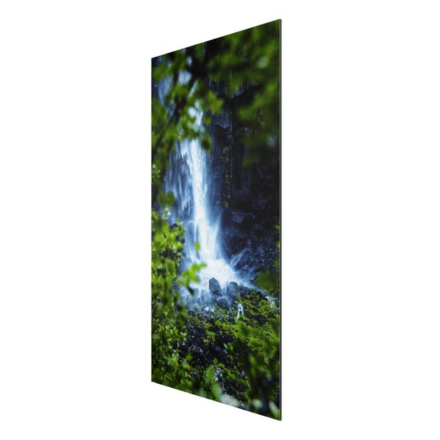 Wandbilder Natur Blick zum Wasserfall