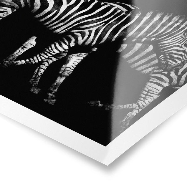 Wandbilder Modern Zebra vor Schwarz