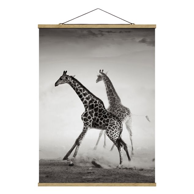 Wandbilder Natur Giraffenjagd