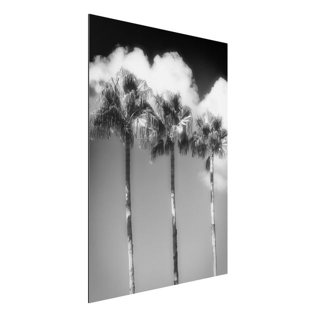 Küche Dekoration Palmen vor Himmel Schwarz-Weiß