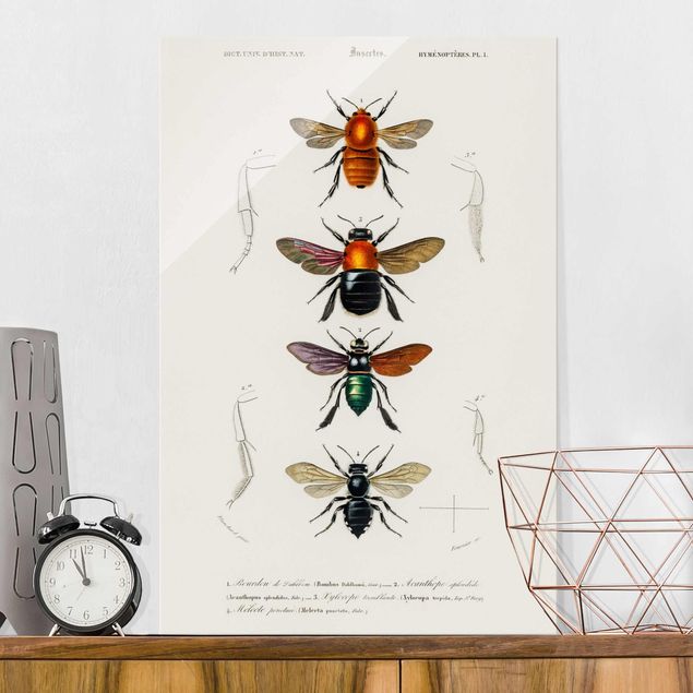 Wanddeko Küche Vintage Lehrtafel Insekten