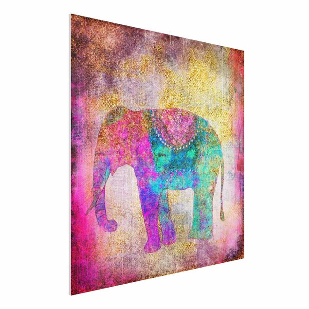 Wanddeko Küche Bunte Collage - Indischer Elefant
