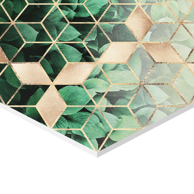 Bilder Hexagon Grüne Blätter goldene Geometrie