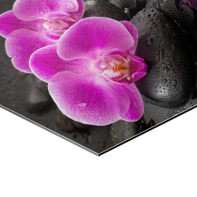 Wandbilder Pinke Orchideenblüten auf Steinen mit Tropfen