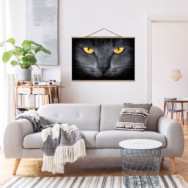 Wandbilder Katzen Cats Gaze