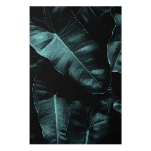 Wandbilder Dschungel Dschungel Blätter Dunkelgrün