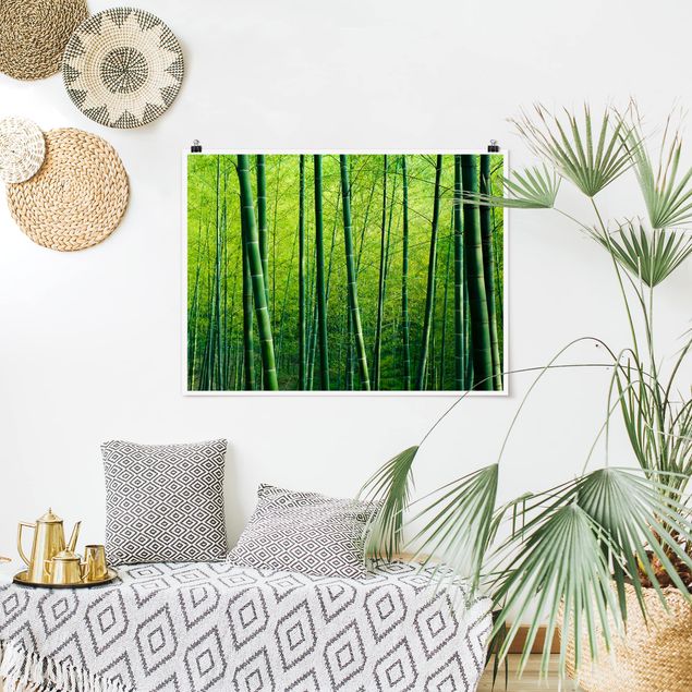 Wandbilder Bäume Bambuswald