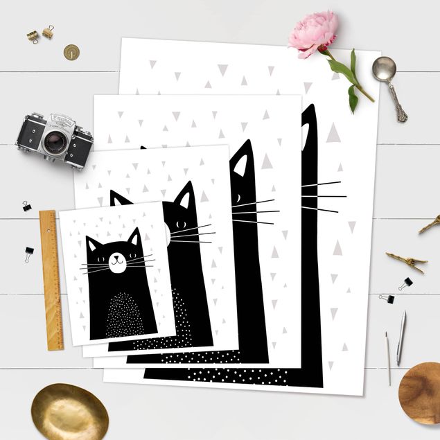 Poster Tierpark mit Mustern - Katze