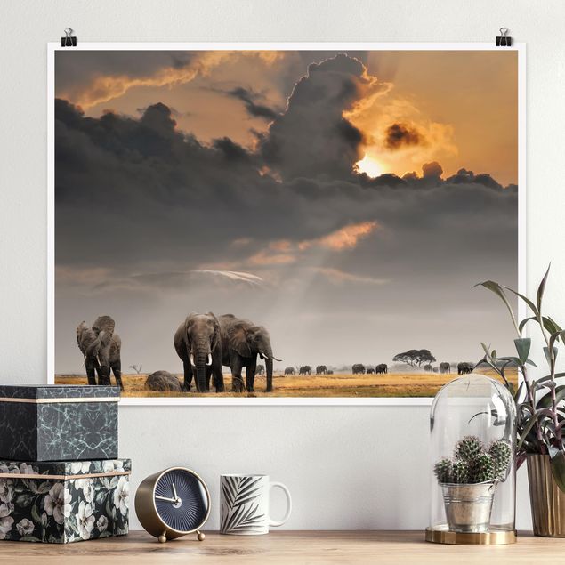Küche Dekoration Elefanten der Savanne