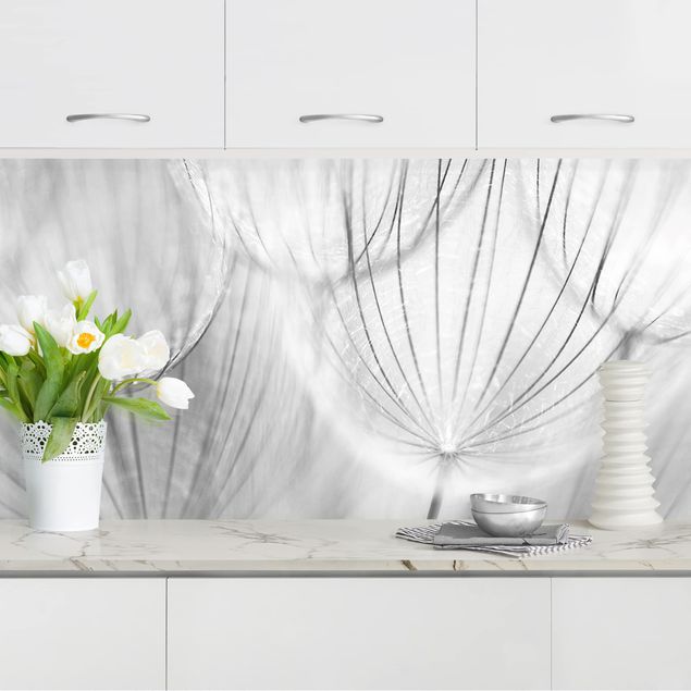 Küche Dekoration Pusteblumen Makroaufnahme in schwarz weiß