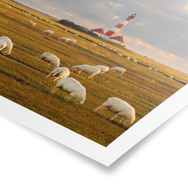 Tiere Poster Nordsee Leuchtturm mit Schafsherde