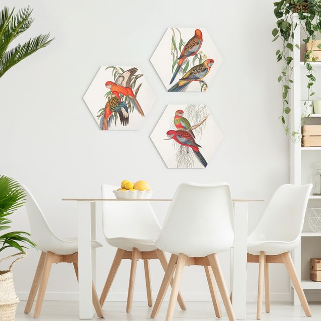 Wandbilder Floral Tropische Papageien Set I