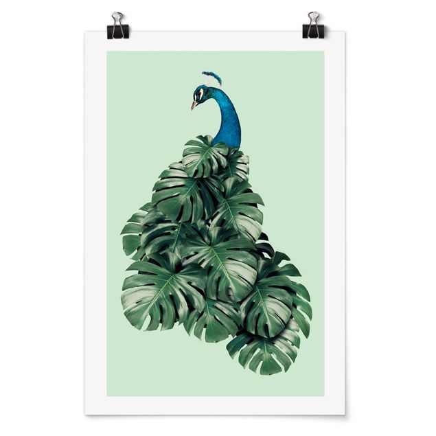 Kunstdrucke Poster Pfau mit Monstera Blättern