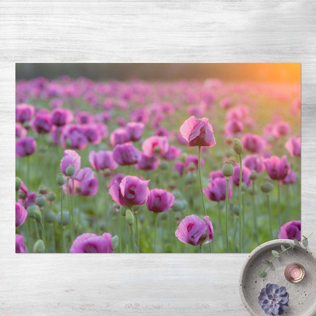 Outdoor Teppich Violette Schlafmohn Blumenwiese im Frühling