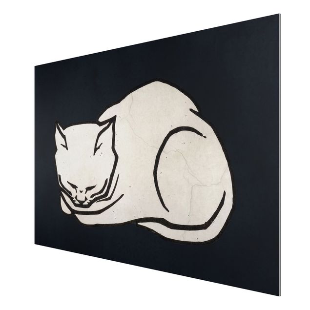 Wandbilder Kunstdrucke Schlafende Katze Illustration
