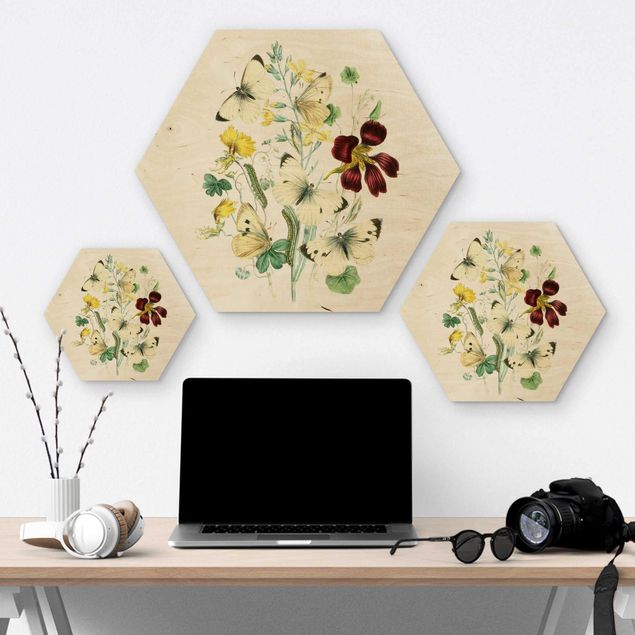 Hexagon Bild Holz - Britische Schmetterlinge II