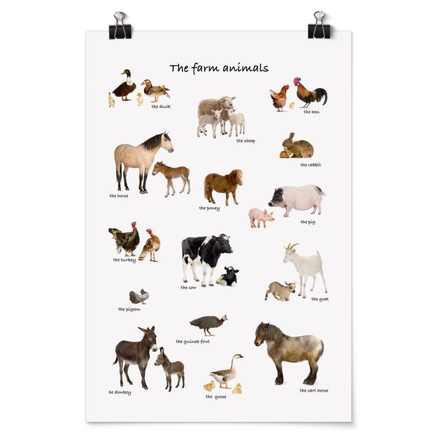 Wandbilder Sprüche Farm Animals