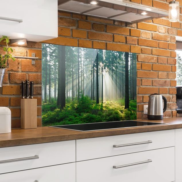 Glasrückwand Küche Enlightened Forest