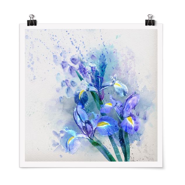 Wandbilder Floral Aquarell Blumen Iris