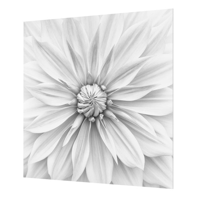 Spritzschutz Glas - Botanische Blüte in Weiß - Quadrat 1:1