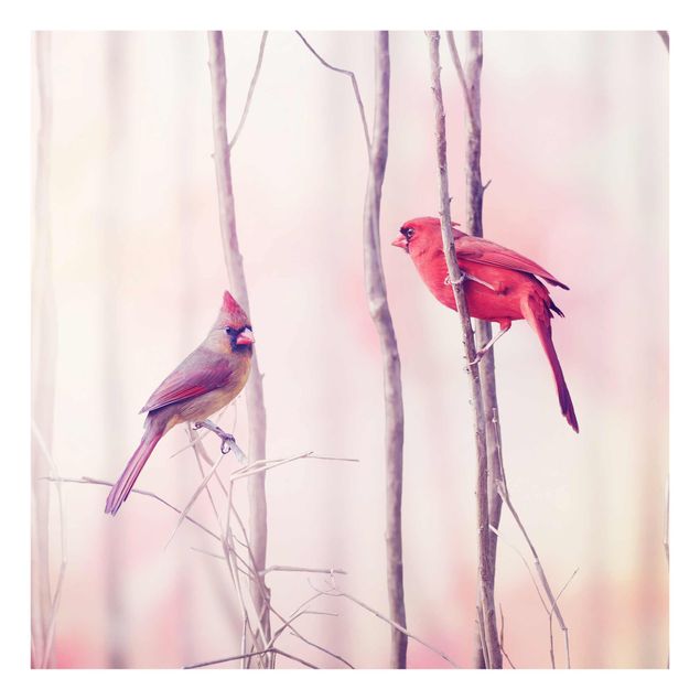 Wandbilder Rosa Vögel auf Zweigen