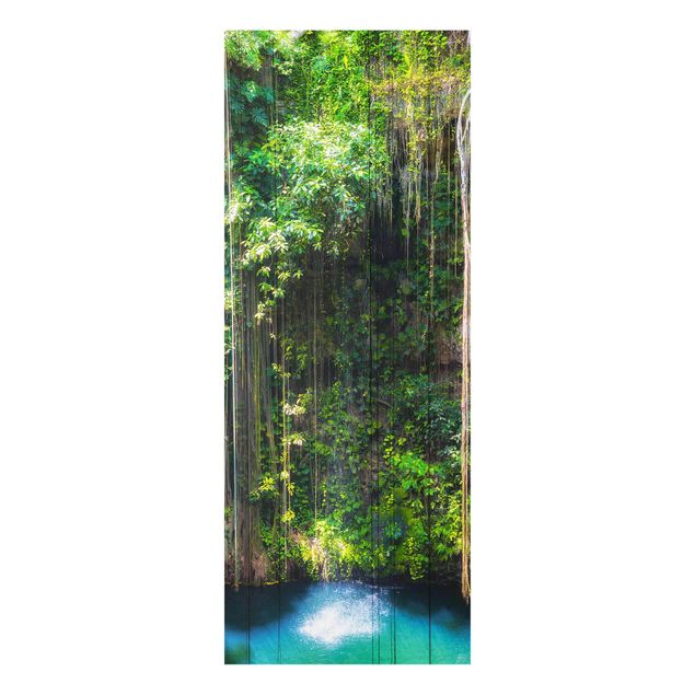 Glasbilder Natur Wasserfall Hängende Wurzeln von Ik-Kil Cenote