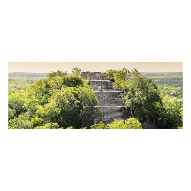 Wandbilder Bäume Pyramide von Calakmul