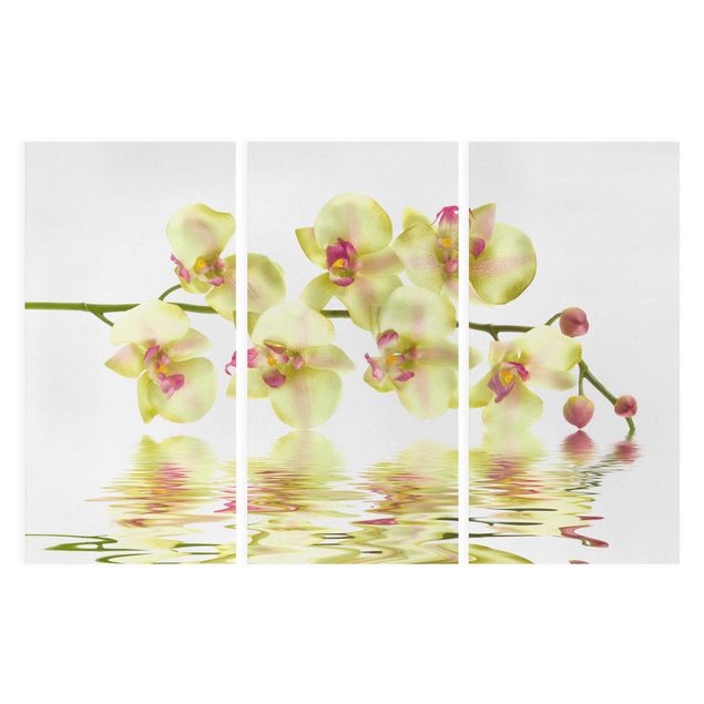 Wandbilder Floral Dreamy Orchid Waters