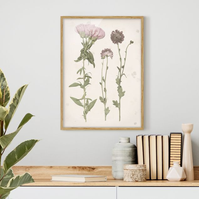 gerahmte Blumenbilder Herbarium in rosa III
