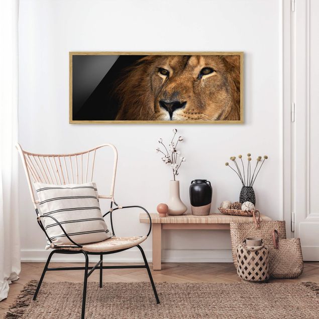 Gerahmte Bilder Tiere Löwenblick