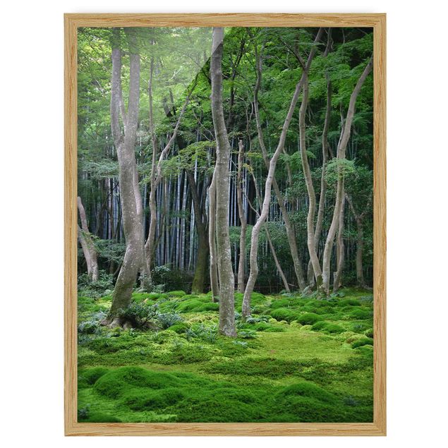 Gerahmte Bilder Landschaften Japanischer Wald