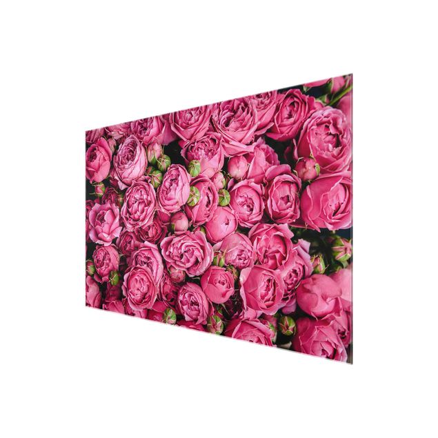 Wandbilder Blumen Pinke Pfingstrosen