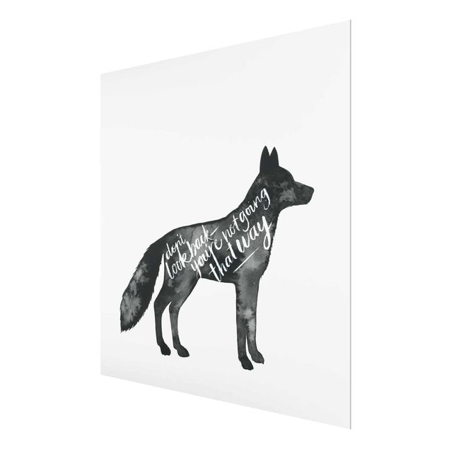 Bilder auf Glas Tiere mit Weisheit - Fuchs