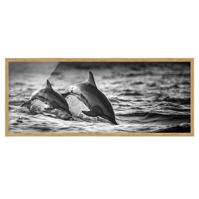 Tierbilder mit Rahmen Zwei springende Delfine