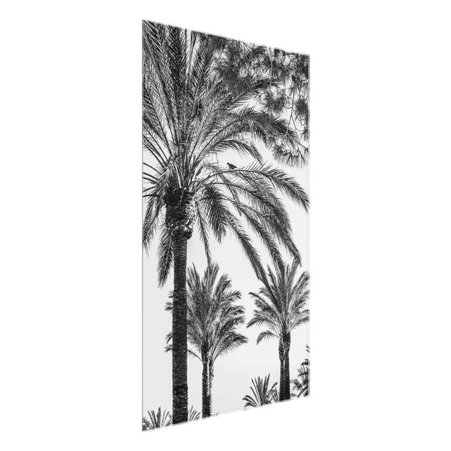 Blumen Glasbilder Palmen im Sonnenuntergang Schwarz-Weiß